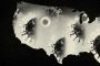 America’s Patchwork Pandemic Is Fraying Even Further America’s Patchwork Pandemic Is Fraying Even Further